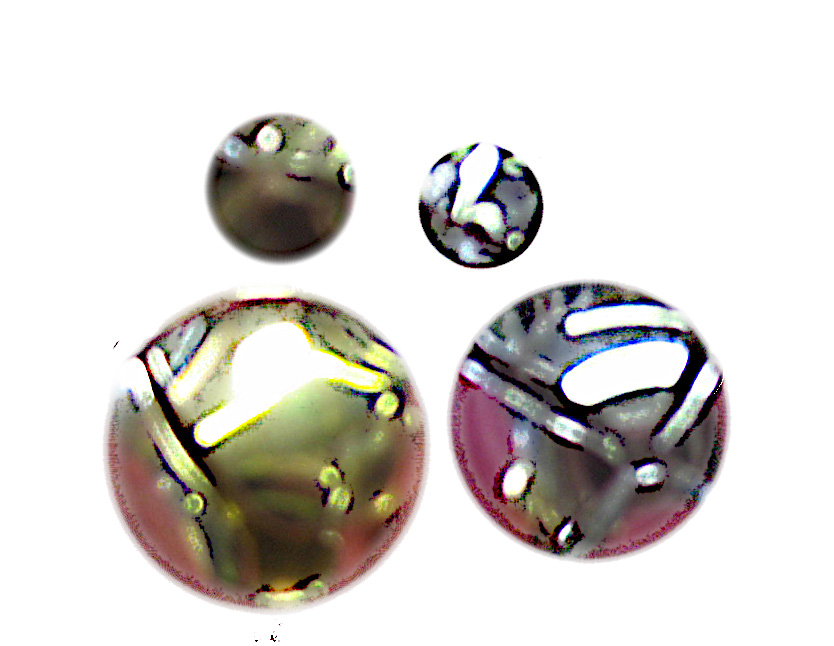 CHRISTMAS / RENAISSANCE BELLS - 5/8" RENAISSANCE CHRISTMAS / RENAISSANCE BELLS - 5/8" RENAISSANCE