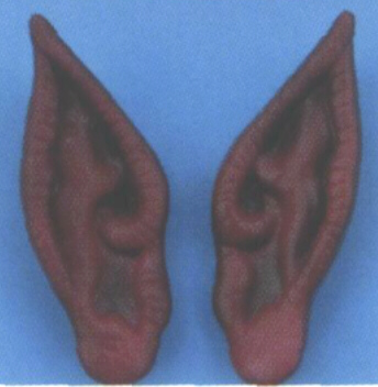 EARS - SPOCK VULCAN EARS - SPOCK VULCAN