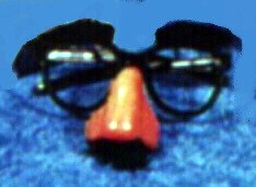 GLASSES W/FUZZY NOSE GLASSES W/FUZZY NOSE