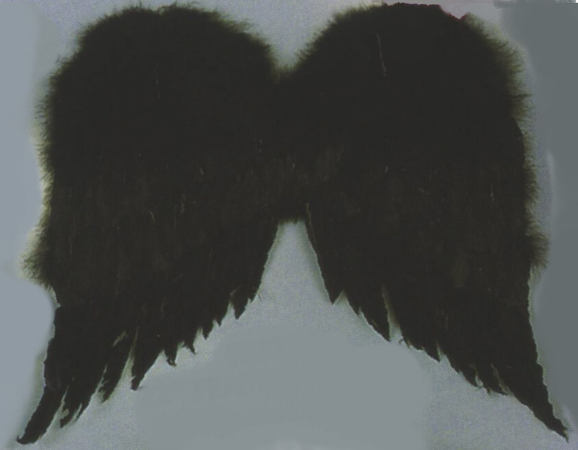 WINGS - FEATHER - 22" WINGS - FEATHER - 22"