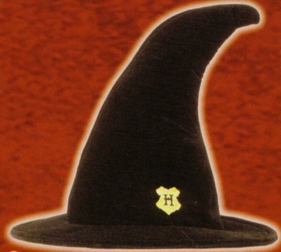 HARRY POTTER - STUDENT HAT