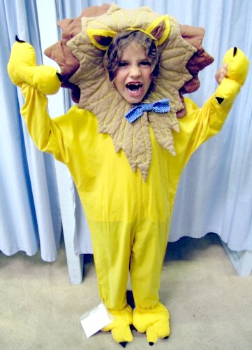 Lion Child Costume Size Ch 6-8 Lion Child Costume Size Ch 6-8