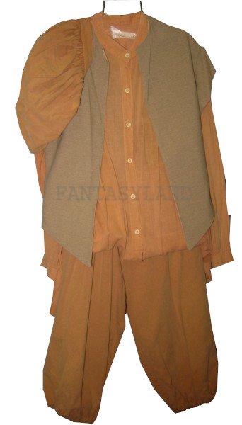 Renaissance Peasant Costume Teen Size Boy's 18