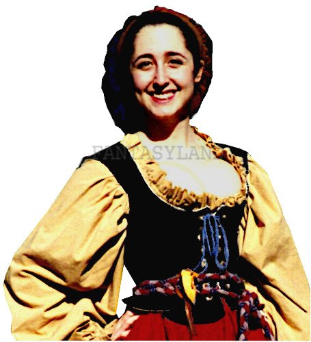 VELVET RENAISSANCE BODICE with WINGS & PICADILS Sz 22 VELVET RENAISSANCE BODICE with WINGS & PICADILS Sz 22