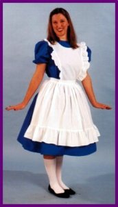 Alice Costume Size MD
