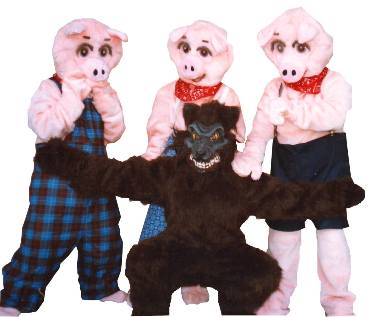 Pig Costume Size Most