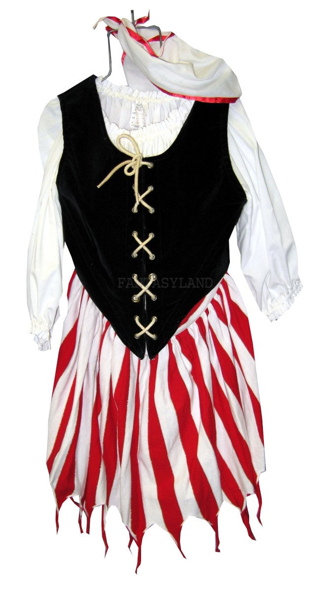 Teen Pirate Girl Costume Size 12-16 Teen Pirate Girl Costume Size 12-16